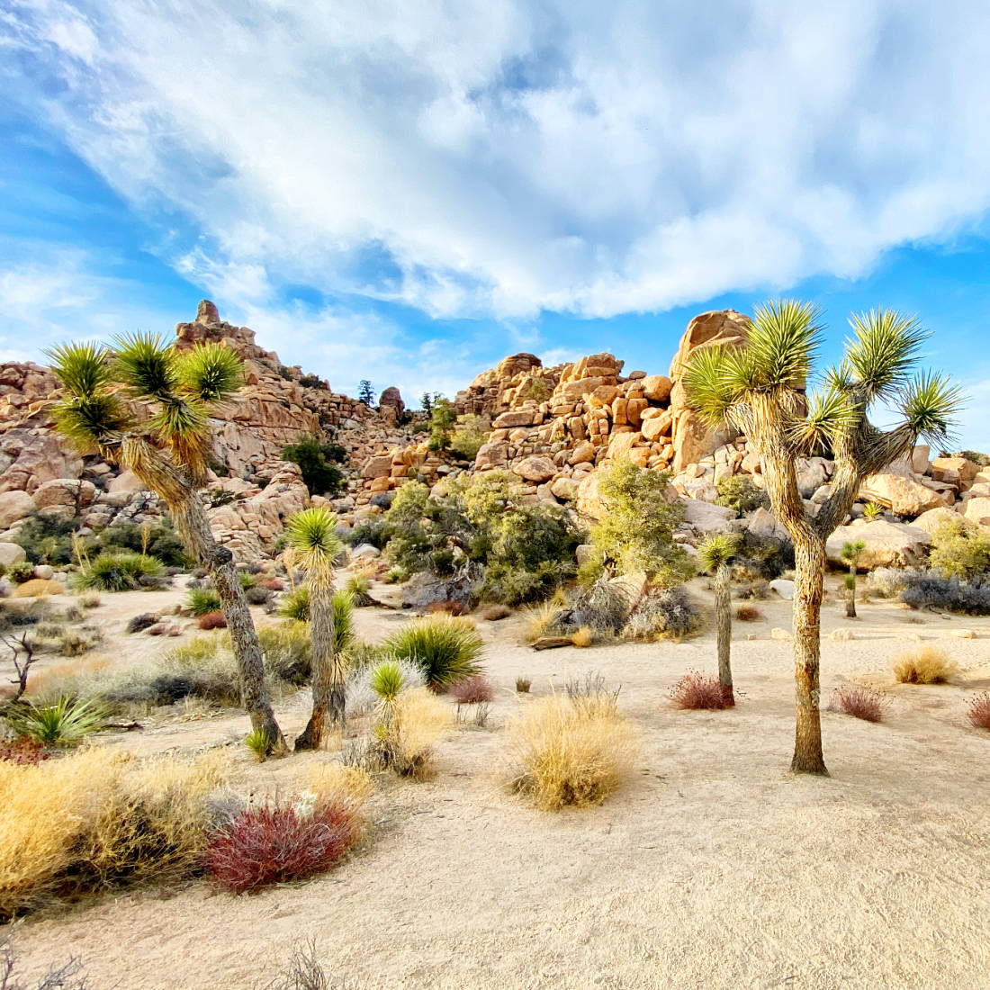 Death Valley Travel Series
